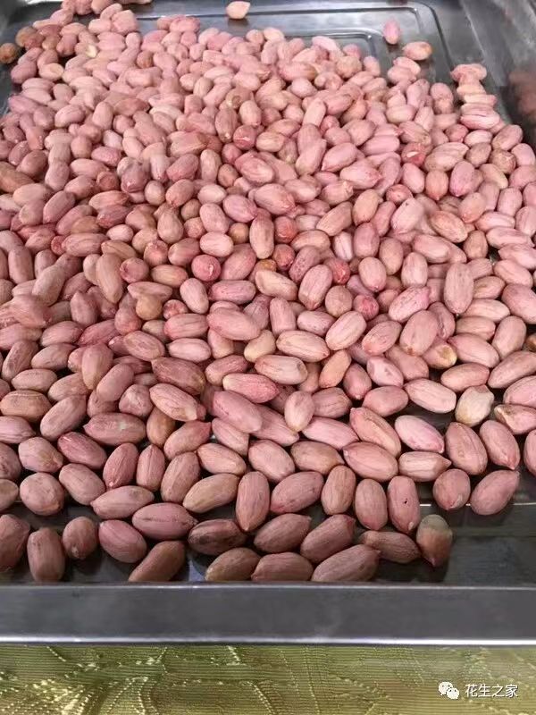 现货供应各种规格鲁花11出口分级米