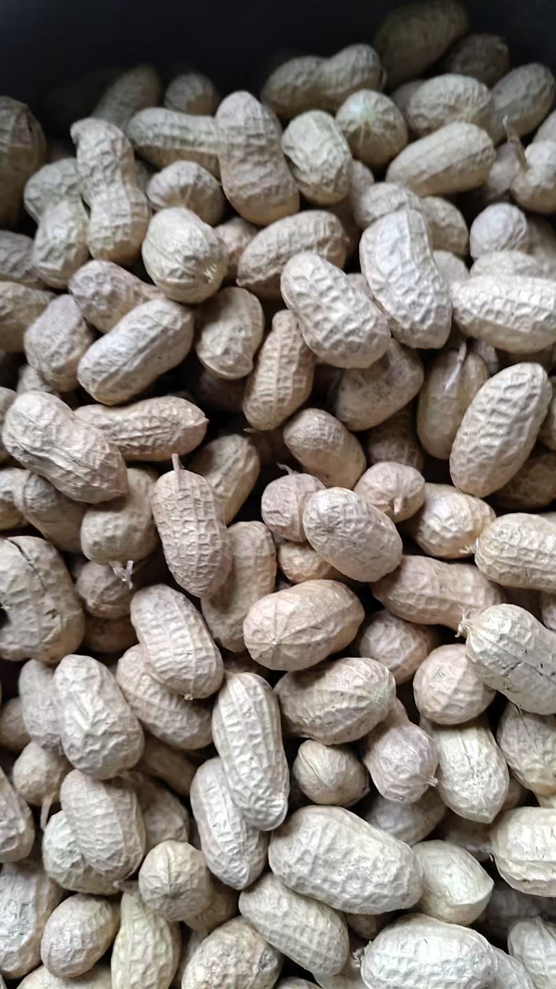 ������ͼ#����308��ѡ��