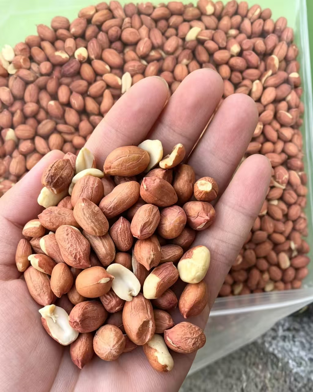 �ൺ���ֻ������������Ứ����Ʒ��